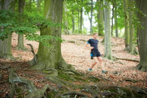 Running in forest Stock Photos