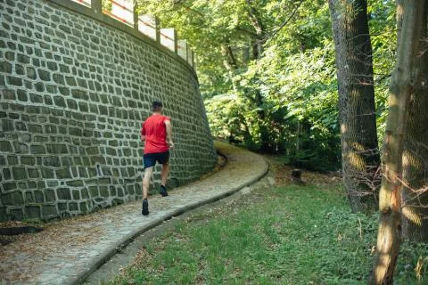 Running in the forest Stock Photos