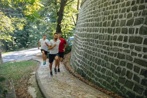 Running in the forest Stock Photos