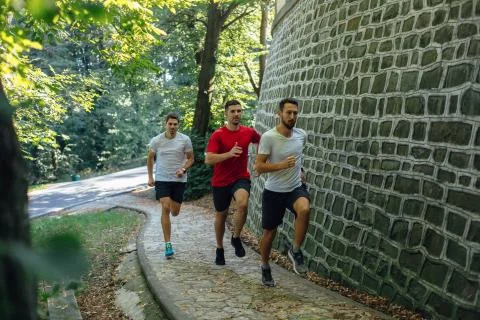Running in the forest Stock Photos