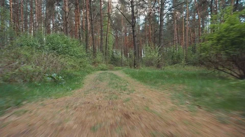 Running on a forest road at high speed Stock Footage 108787187