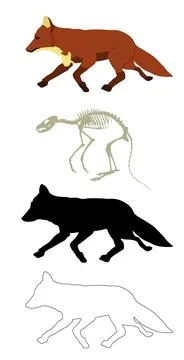 Running fox vector silhouette illustration isolated Stock Illustration
