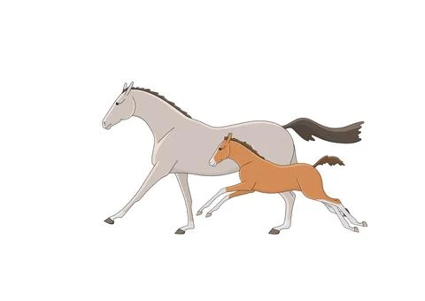 Running free mare with foal Stock Illustration