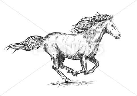 Running horse drawing easy | How to draw Running horse step by step | Draw  A Horse - YouTube