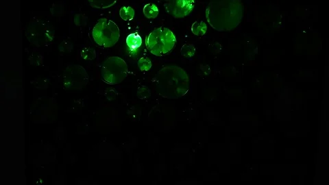 Running green lights in round crystals. laser glow in the glass Vidéo 83367569