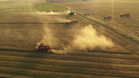 Running Harvesters At a beautiful sunset Stock Footage 236728538