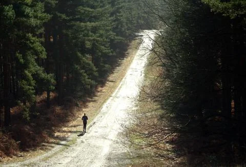 Running up that hill Stock Photos