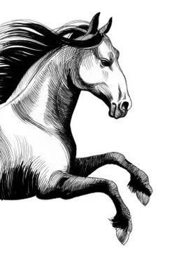 Running horse Stock Illustration