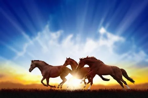 Running horses Фото