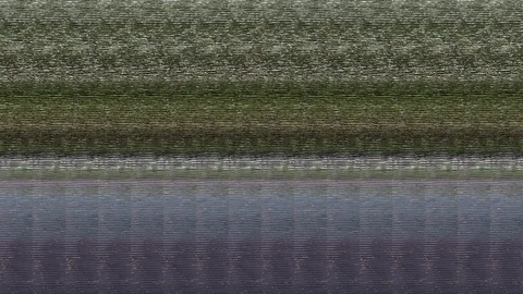 Running kid in the park Stock Footage 95410429