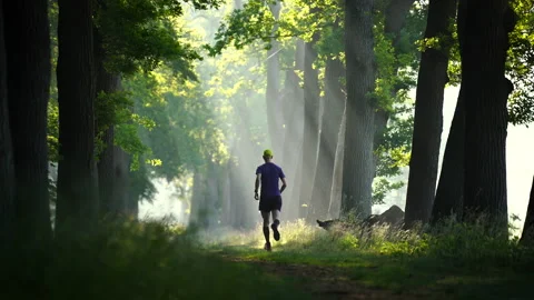 Running in a lane Stock Footage 156455728