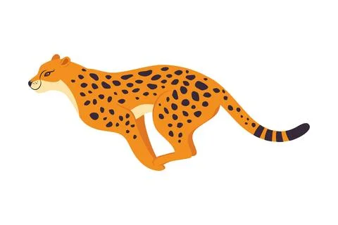 Running Leopard as Wild Cat with Long Spotted Body Vector Illustration Stock Illustration
