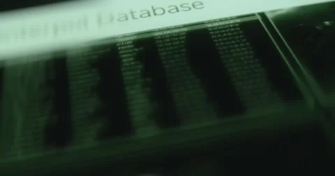 Running lines of encrypted data within Interpol Database interface Stock Footage 314457055