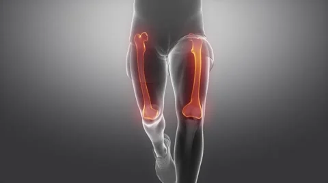 Running man  FEMUR scan in loop Video stock 50019237