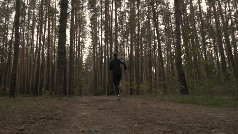 Running Man In Forest Video stock 167647595