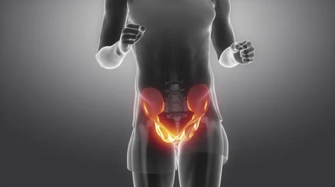 Running man PELVIS joint scan in loop Video stock 50019290
