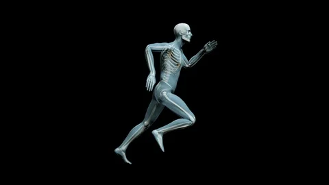 Running Man with visible skeleton Stock Footage 86401837