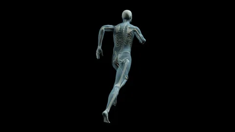 Running Man with visible skeleton Stock Footage 86401838