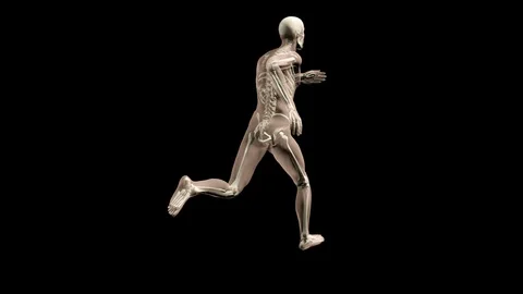 Running Man with visible skeleton Stock Footage 86401845