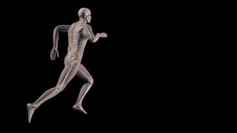 Running Man with visible skeleton Stock Footage 86401874