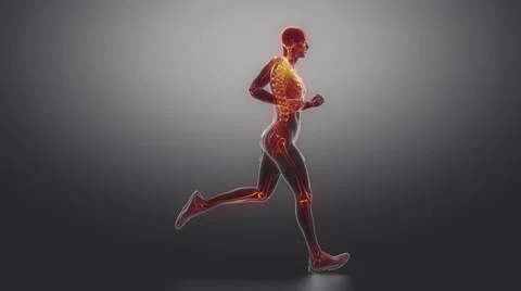 Running man with visible skleton in loop Video stock 49099222