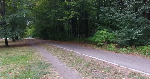 Running man in the wood Stock Footage 68172701