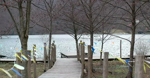 Running on the mole to the lake at the fall time Stock Footage 67330960