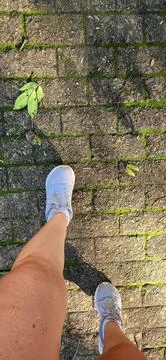 Running on the moss covered brick path Stock Photos