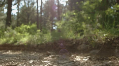 Running in the nature Stock Footage 53629695