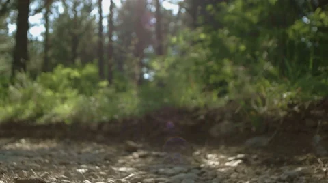 Running in the nature 스톡 동영상 53644425