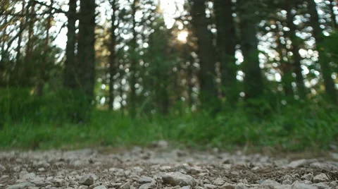 Running in the nature Stock Footage 53647954