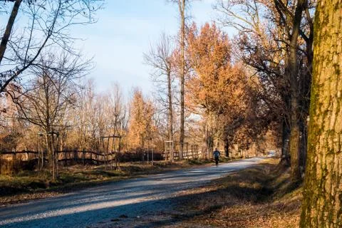 Running in the nature Stock Photos
