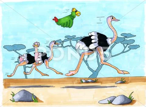 Running Ostriches Stock Illustration