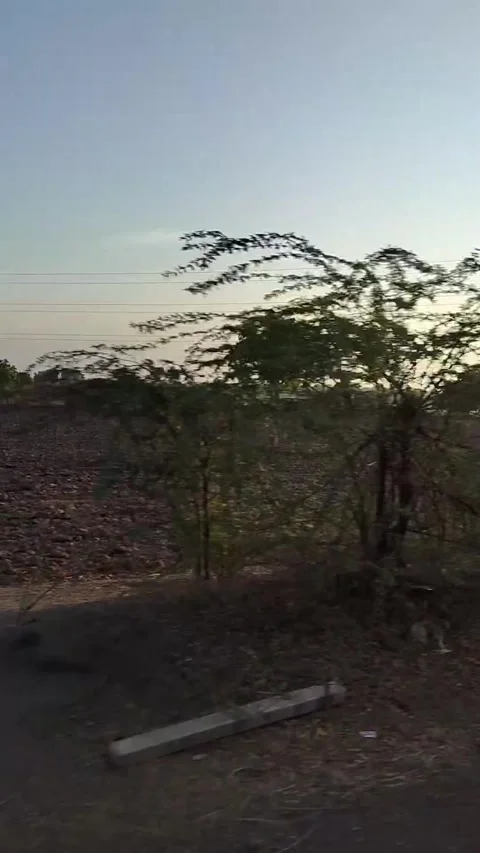 Running outside the car window, with trees and a cloudy sky Stock Footage 293199776