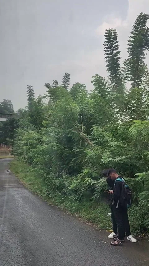 Running outside the car window, with trees and a cloudy sky Stock Footage 293243784