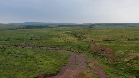 Running over a herd of deer, 4k, 25fps. Stock Footage 254062437