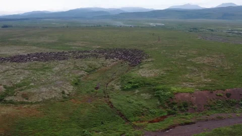 Running over a herd of deer, 4k, 25fps. Stock Footage 254063389