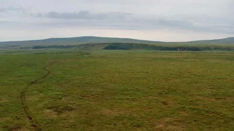 Running over a herd of deer, 4k, 25fps. Stock Footage 254064049