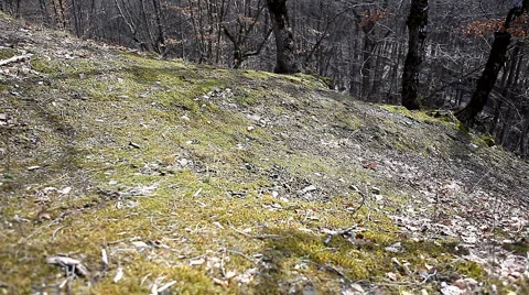 Running over rough terrain 스톡 동영상 1013058