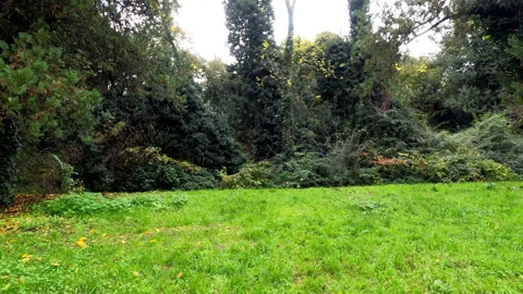 Running in the park - 4k - ProRes Stock Footage 143152236