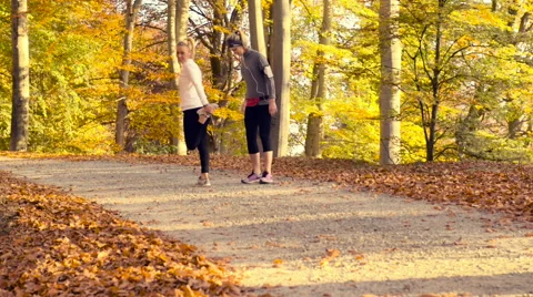 Running at park in autumn Stock Footage 56914684