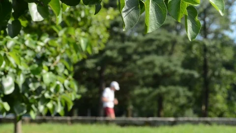 Running in the park Stock Footage 91752191