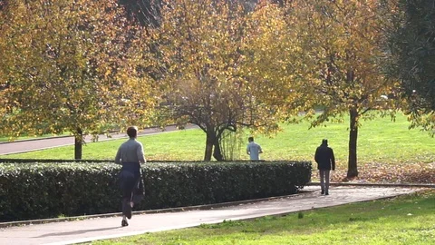 Running in the Park Stockbeeldmateriaal 99540859