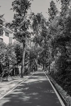 Running park Stock Photos