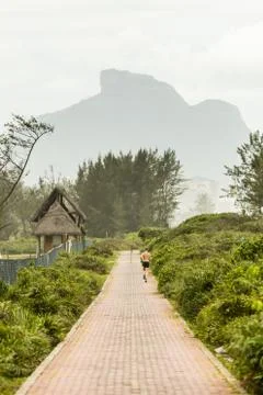 Running path between bushes with beautiful view Stock Photos