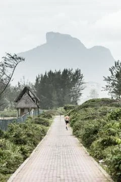 Running path between bushes with beautiful view Stock Photos