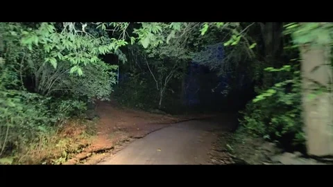 Running on a path in a dark horror forest at night, Empty Road Stock Footage 293016702
