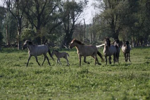 Running Stock Photos
