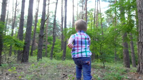 Running in the pine forest Stock Footage 64260434