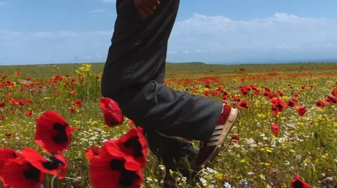 Running in the poppy Field  库存影片 1032719